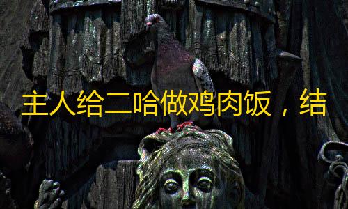 和平精英5级小号网低价主人给二哈做鸡肉饭，结果它却等不及，狗	：到底给不给吃啊